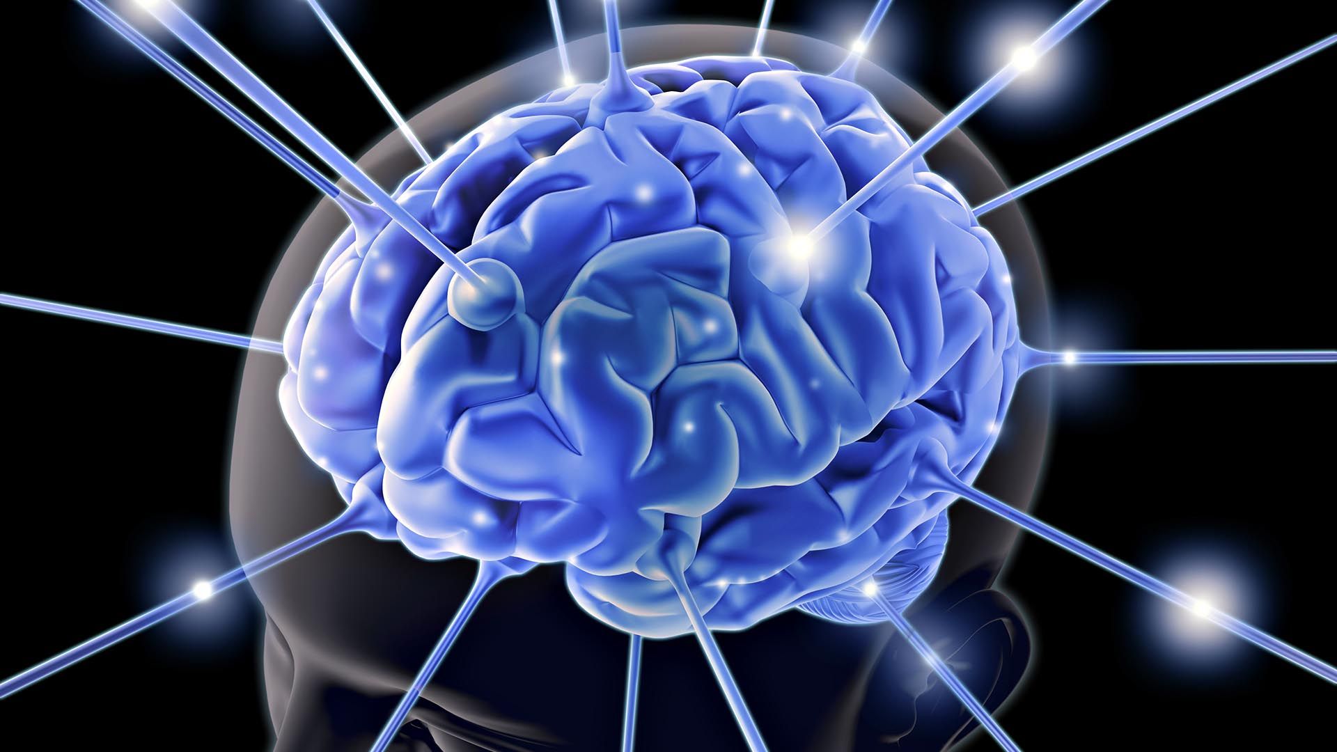 Десять факторов, отрицательно влияющих на мозг Mozg-1920x1080-2808748